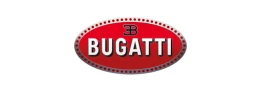Шины для Bugatti