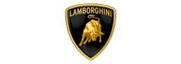 Шини для Lamborghini