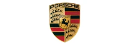 Шини для Porsche
