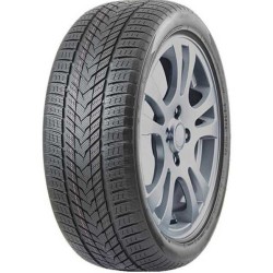 275/50 R21 113 H Fronway IceMaster II